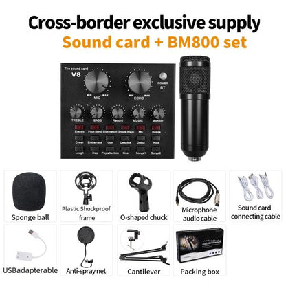 V10 Bm-800 Podcast Condenser Microphone Set With Live Sound Card, Rech