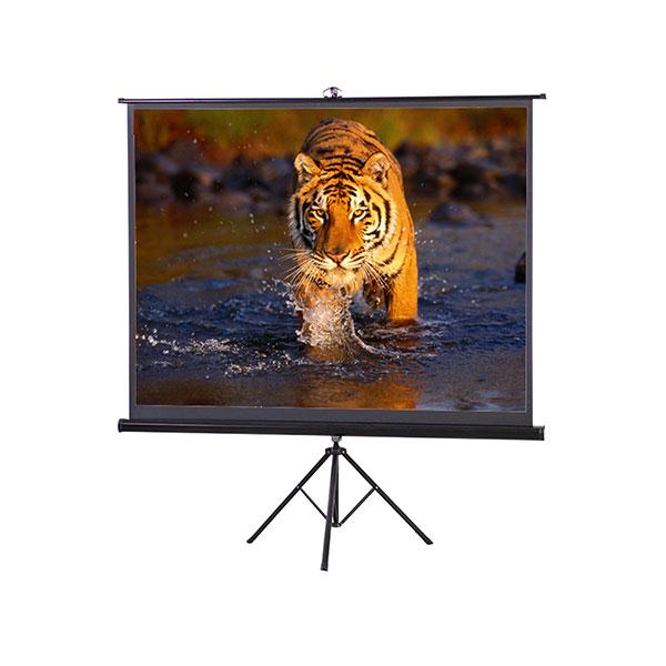Projector Screen 120 Inch Tripod Portable 6x8 Feet 4:3mw