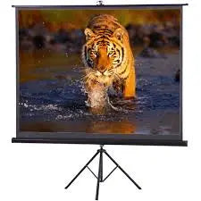 Projector Screen 6x6 Feet – Best Price in Pakistan | HD, Portable & Durable Hypermartz